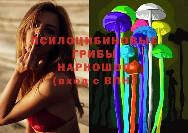 твердый Алексин