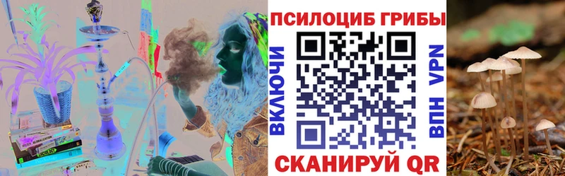 ОМГ ОМГ вход  как найти закладки  Новоуральск  Галлюциногенные грибы Cubensis 