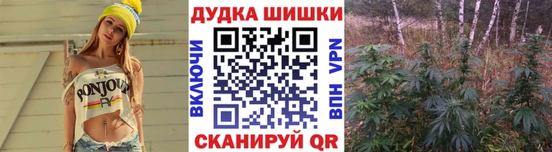 купить наркотики сайты  Новоуральск  Шишки марихуана Ganja 